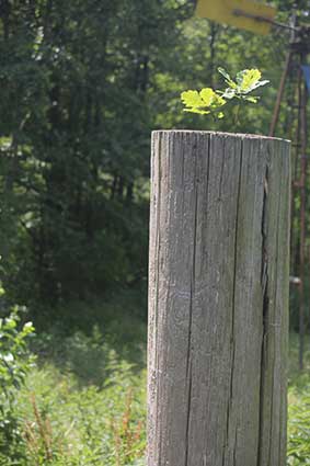 Selbstbewusstsein